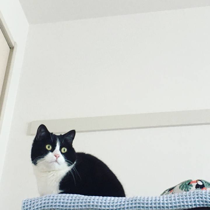 8411e45c 728f 4be4 89f9 bf46586168a9 1651288873778