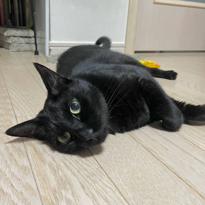 841249ab aae7 4e9f 87cb a1f7b8acaeb4 1724668268984