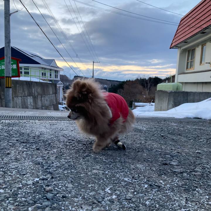 841253b4 b34a 48c4 9cb1 ea530ff060b8 1738452335238