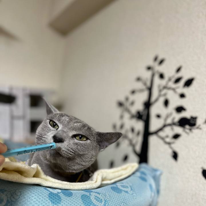 841275e1 9567 43f7 96a5 292b2a054c58 1658582669320