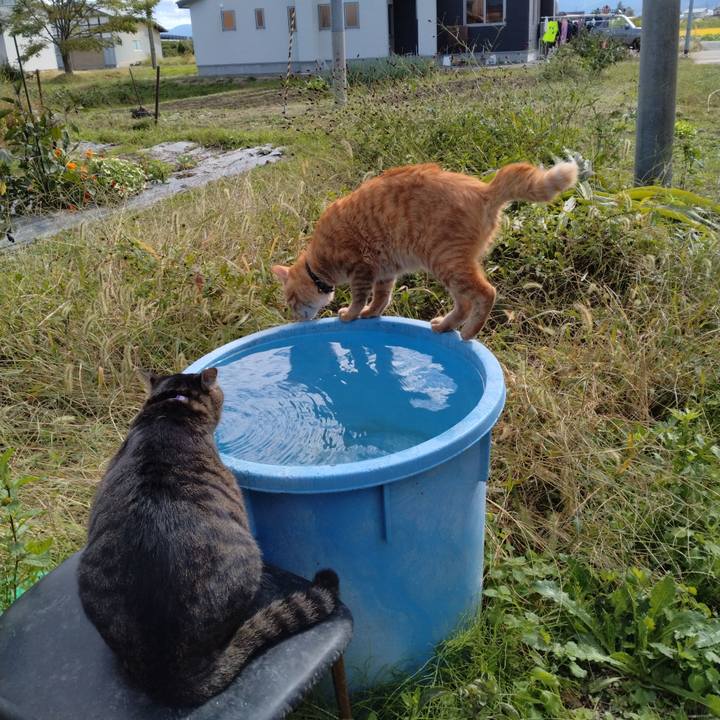 8412c01a c684 445c bedf 19df19178fff 1665201848445