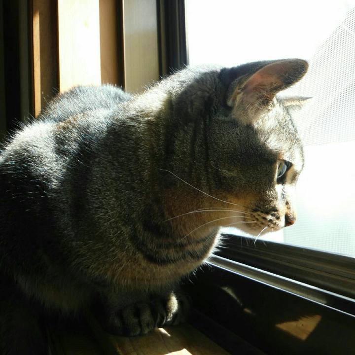 8412dcc3 dfcd 401c 9c81 309d5c98667c 1526015831703