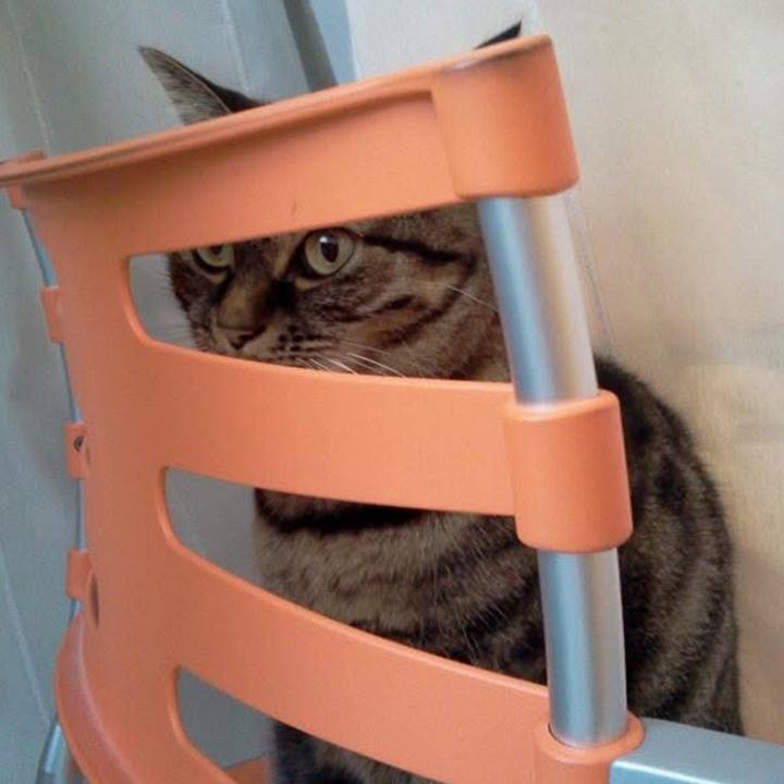 841304c0 277c 45a1 a897 393a9f61828f 1762310588685