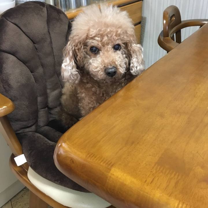 8413198d 26b0 4d78 8c42 fcc26f9f5a3a 1597426311360