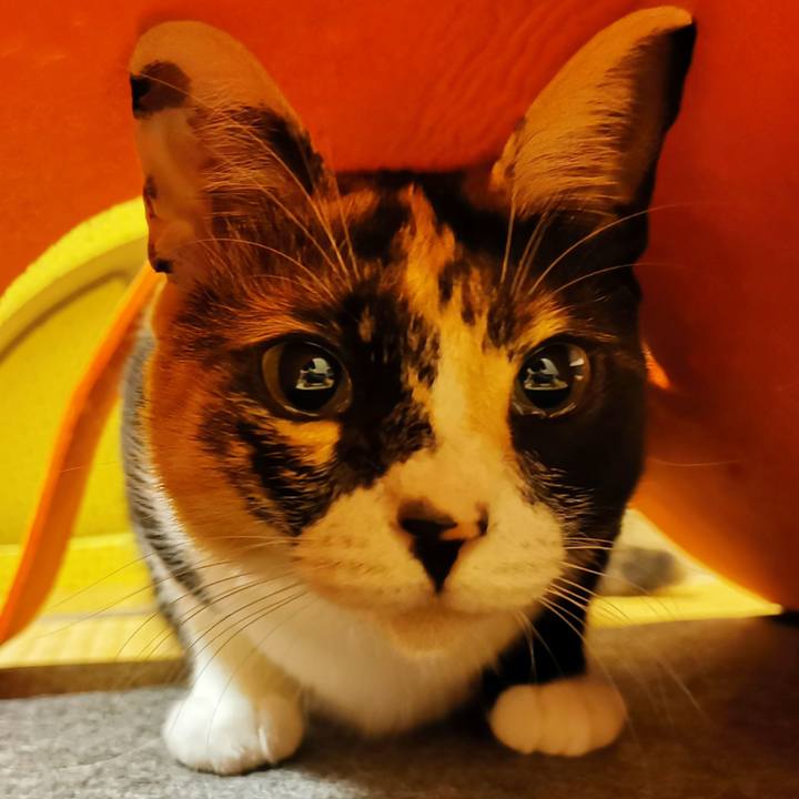 8413b8e3 ead4 4ba5 af6a d0cc8016e9a7 1662787849836