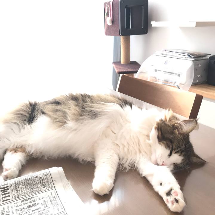 8413c771 482a 4f6c bc26 5ab224de306e 1564735253534