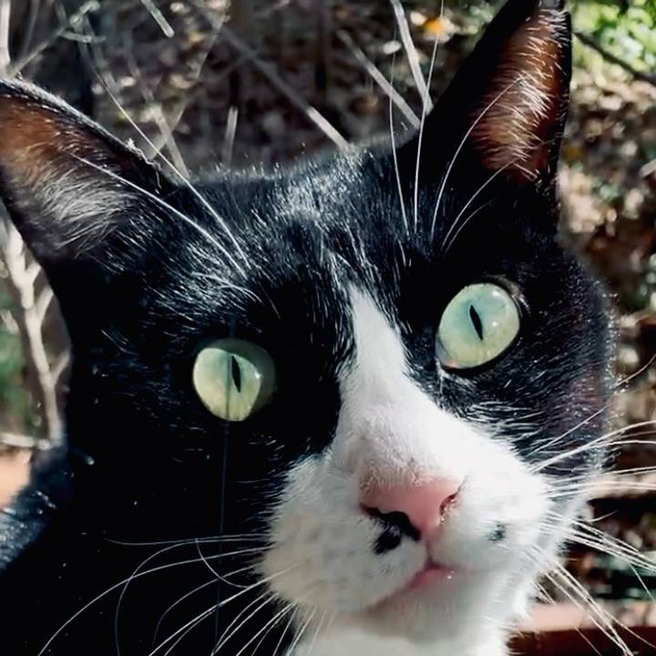 8414170e 42f4 44c7 b0b7 64a403b331a7 1734867837858