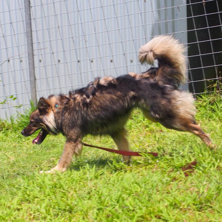 841445d0 4a81 4c57 8e27 cd90002cbf99 1526125639680