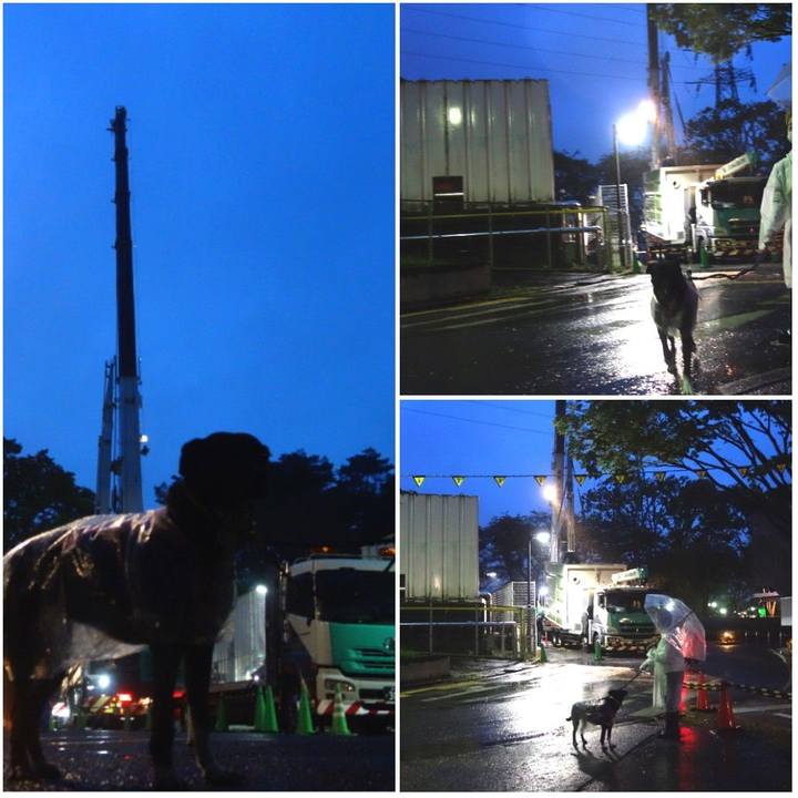 841447f0 f2d8 4e45 aa54 43c9014fdd75 1618658152034