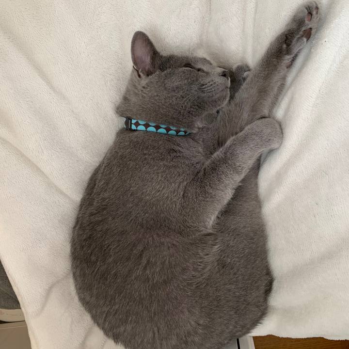 84148cc1 cd4c 436e ac66 2e9b76c52628 1580276202249