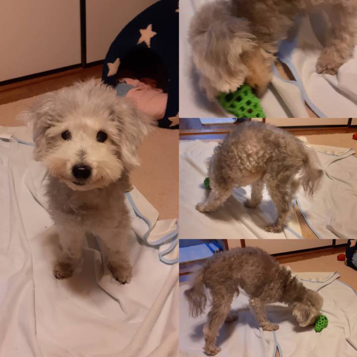 841498e3 d33f 4965 93ee 2d5203efc7a6 1637841463998