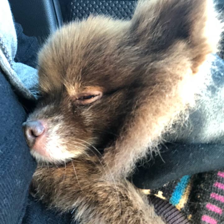 8414b474 06d8 4ec9 a67c a29ca3bdee2d 1542669004086