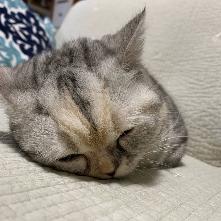 8414ff23 1665 4e16 85dc 519375f9ded2 1705233180196