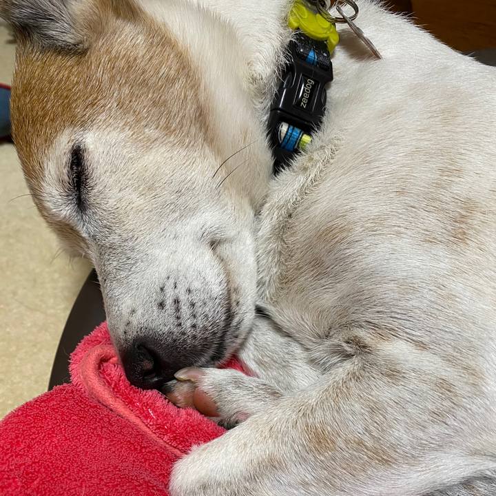 84152644 8dbb 4b88 bc27 77032a8ab5d1 1604322493034