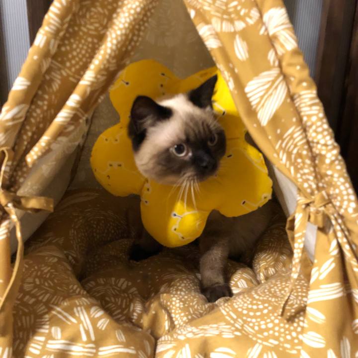 841536a0 1fe0 443f a4ad 3e234cdd4dea 1599103486042