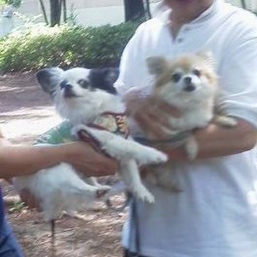 84155233 8013 497e 8146 66d8d1976086 1528555728480