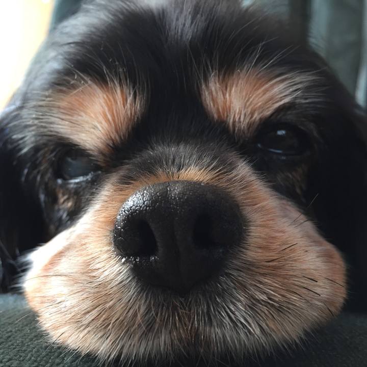 84155342 6910 49aa b217 2e5c0059324d 1508855884748