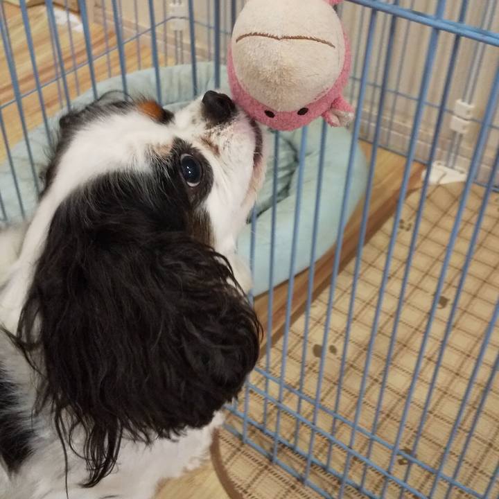 841575e1 6e71 4c1c 961f 30261df23fa3 1563193236798