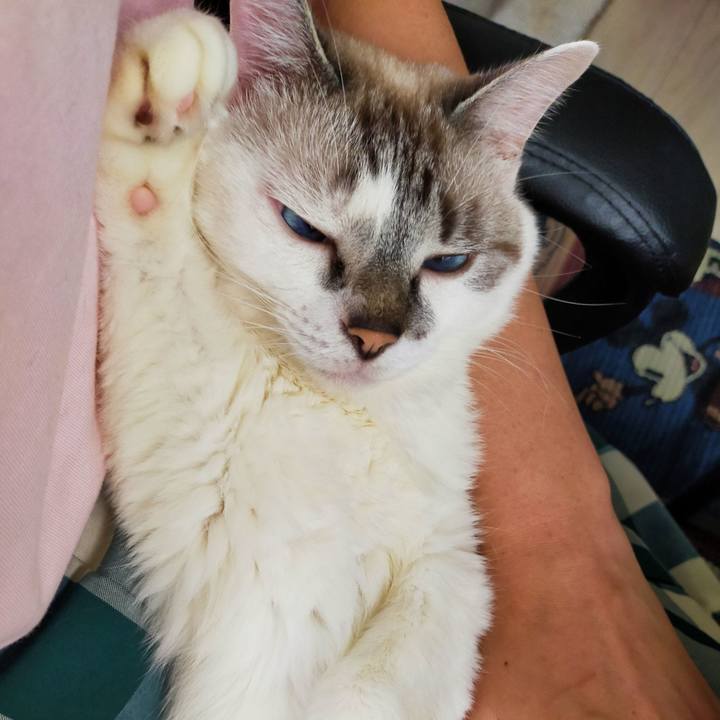 84157665 e4af 4881 8b3a 65fdb7b9644a 1602902868046