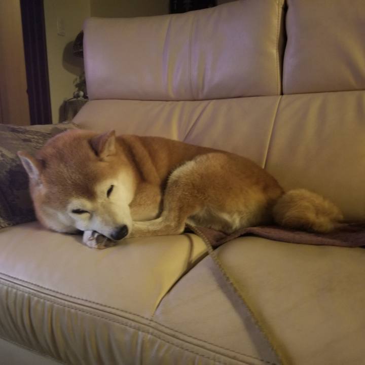 8415781a 3ddb 4139 8fe8 8d4abdd30539 1667561734616