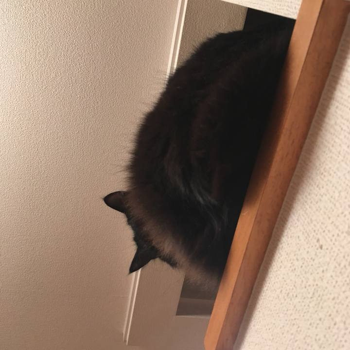 8415a2bb ec73 41d7 9343 8246c96e45b3 1516193748121