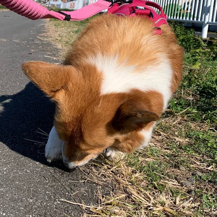 8415c84e c8a3 421f afc8 c337971a91d3 1701138924698