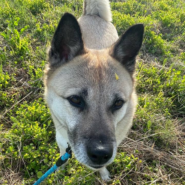 8415f0f8 b25e 49d0 88de 5d3e21e04101 1681389400761