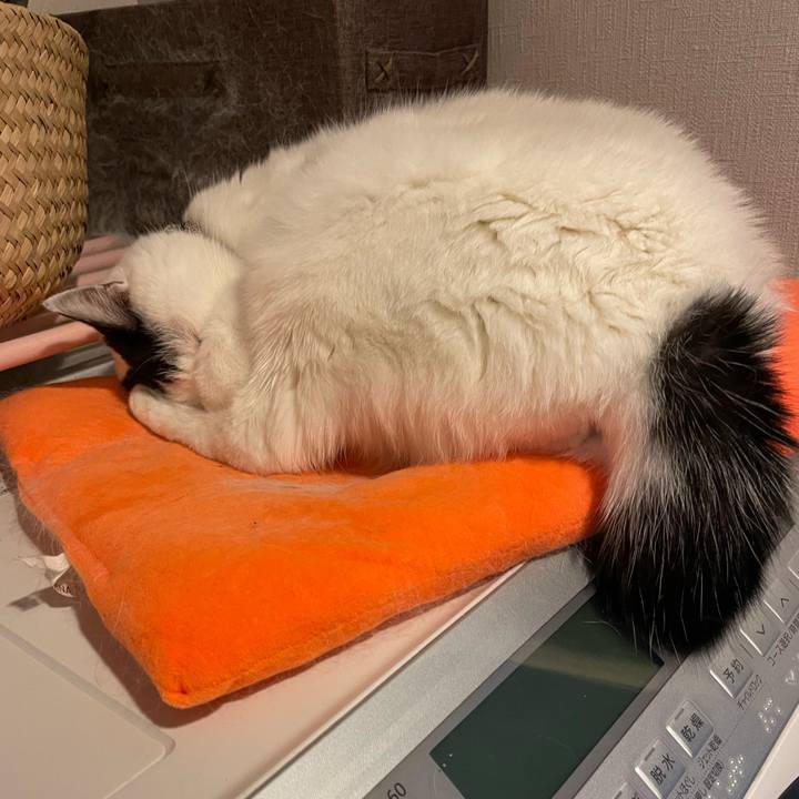 8415f115 c9e0 4798 9960 58df06e74b14 1732026041845