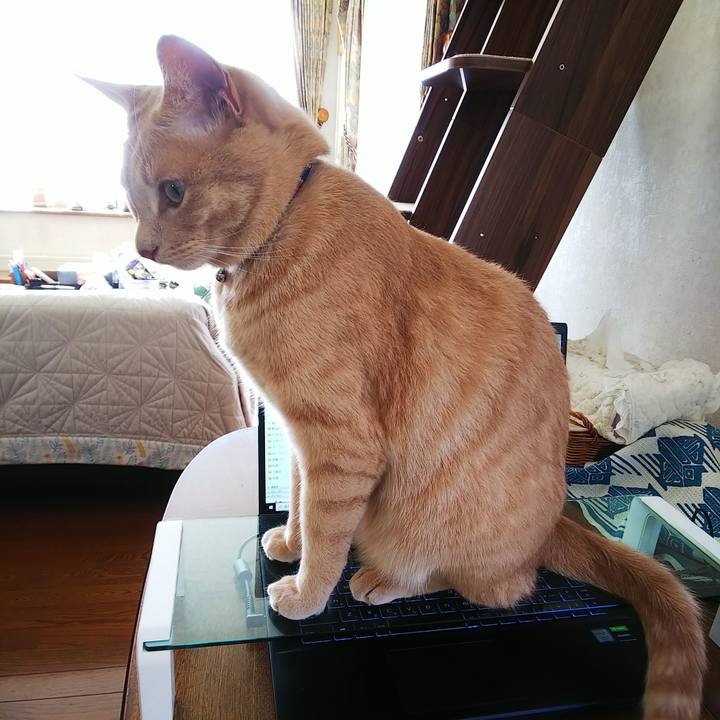 84160b3d a0c0 42c6 8302 b656e1051dad 1599433261934