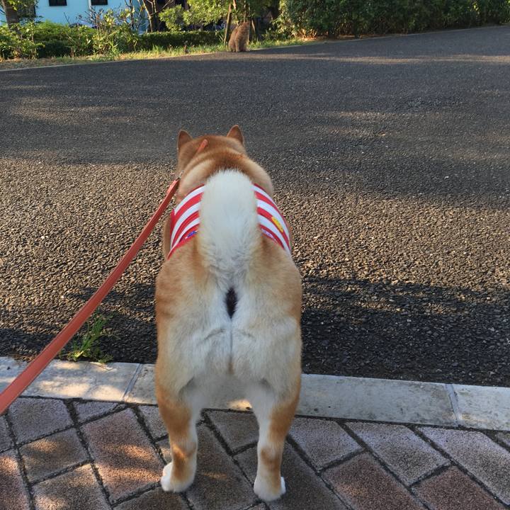 8416cefc b689 4845 8696 11c267532334 1565997786304