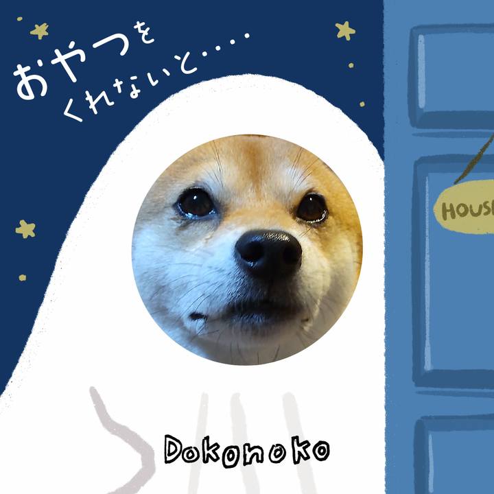 8416f381 b5b5 42e4 9612 04030841e144 1729302495849