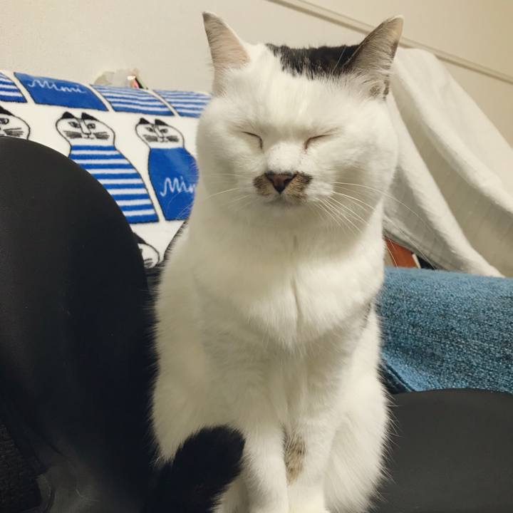 8416fc59 d6ce 487a a0d6 fdd9069a9aad 1513433054229