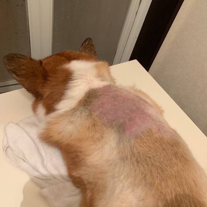 84171ee4 d4d4 4e64 9ca7 fae86f761843 1561387319244