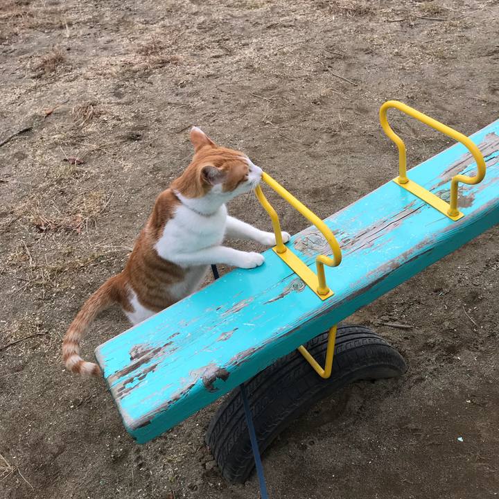 84172e77 d570 4604 9df8 fa4266fca9b9 1511930535553