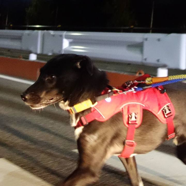 8417c9f9 fde1 4712 b119 8437cd819fa2 1585832983194