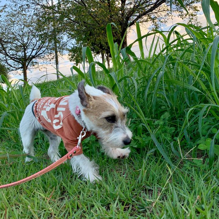 8417e35b 41ea 42c9 8217 b4ec696a2a8c 1601283707297