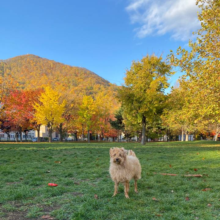 8417ffbc 0615 4c32 80b1 aad468cb8bd6 1635306016865