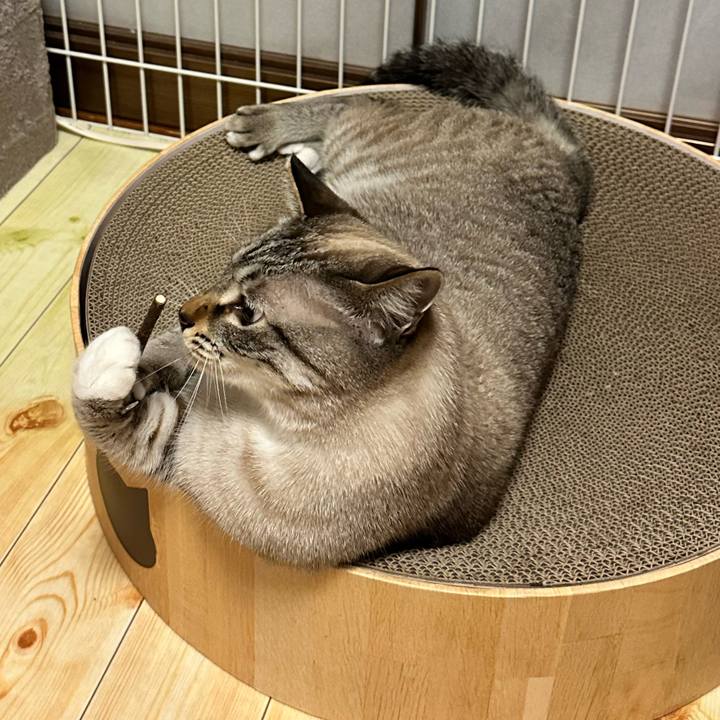 84181301 5d0f 480c a2fc 2210099edaa3 1671018555011