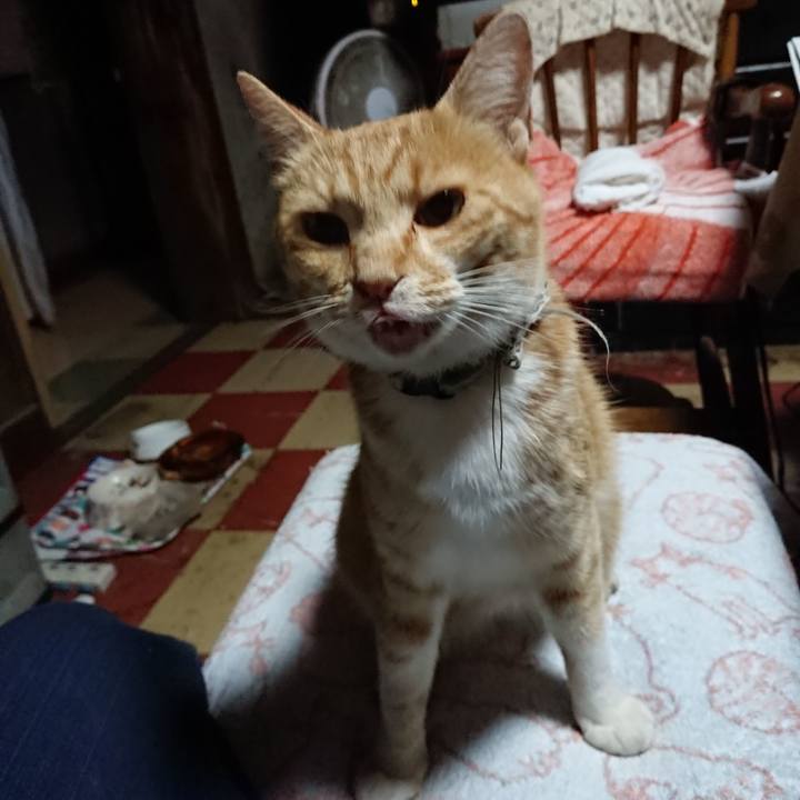 841829ef 40ca 4660 a824 76ec16862dfa 1592939700738