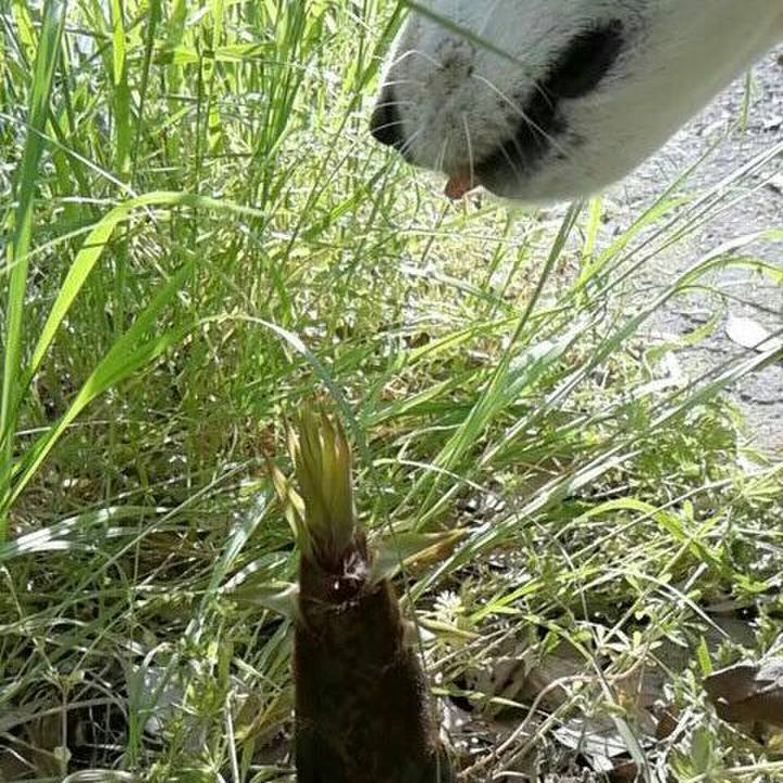 84182b5b 0b32 42a3 a5bf f80e67b8ab89 1558243331261