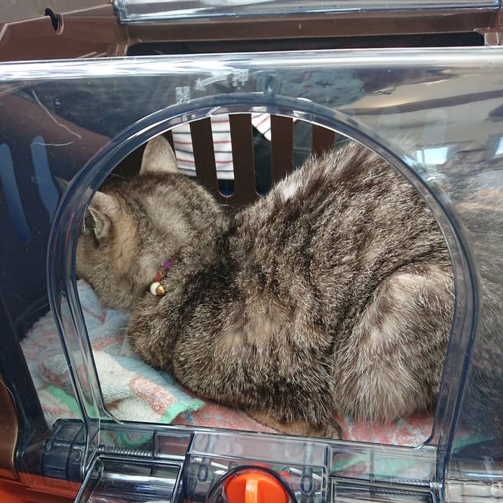 8418587b b313 4a36 ba81 b9c8d6853751 1591496506862