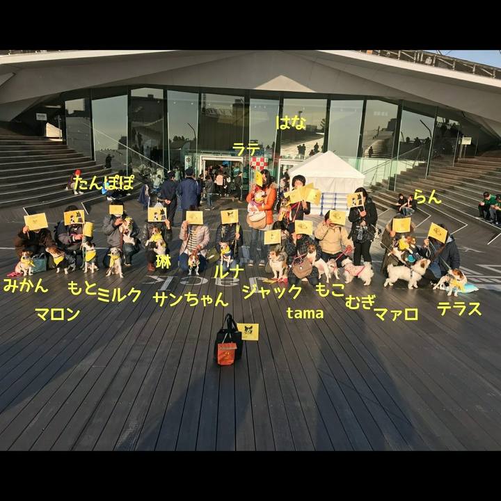 84185b9a a73b 48cc bda4 df2f7b8e5ca6 1642941932397