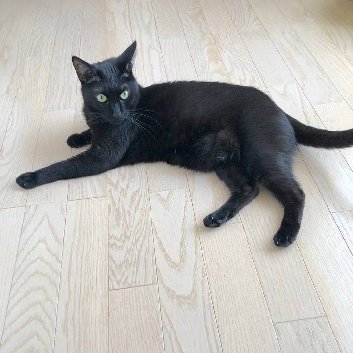 8418608a bec4 42f8 8575 d7aa97c529ec 1524882473763