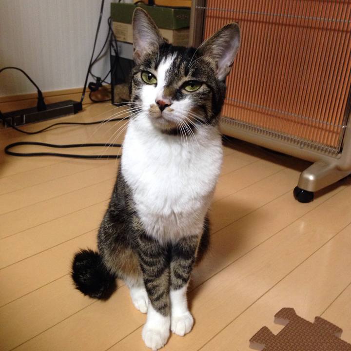 84189c52 13e8 4cde bcc2 2f524e85799c 1513061789374