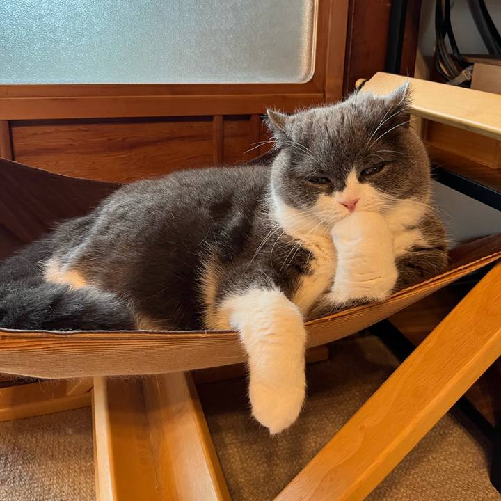 8418cc0f 8009 4859 b34a 6a7543ad3d09 1711870459515