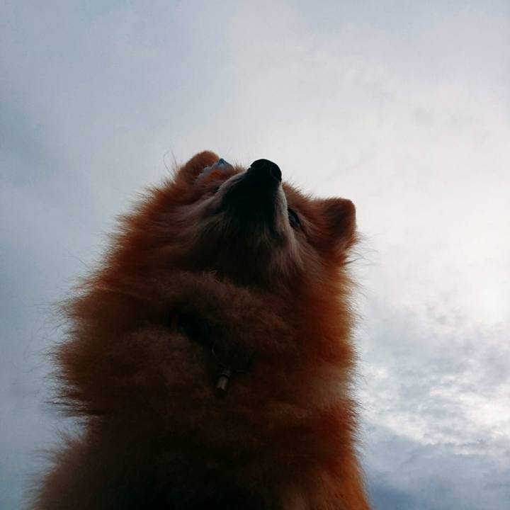 8418ed22 e5d5 407c b3fc 581d12ba31f8 1567032499976