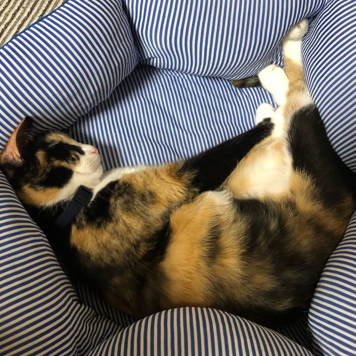 84190e2c fb0d 4139 9613 e1ae924757e9 1567167624446