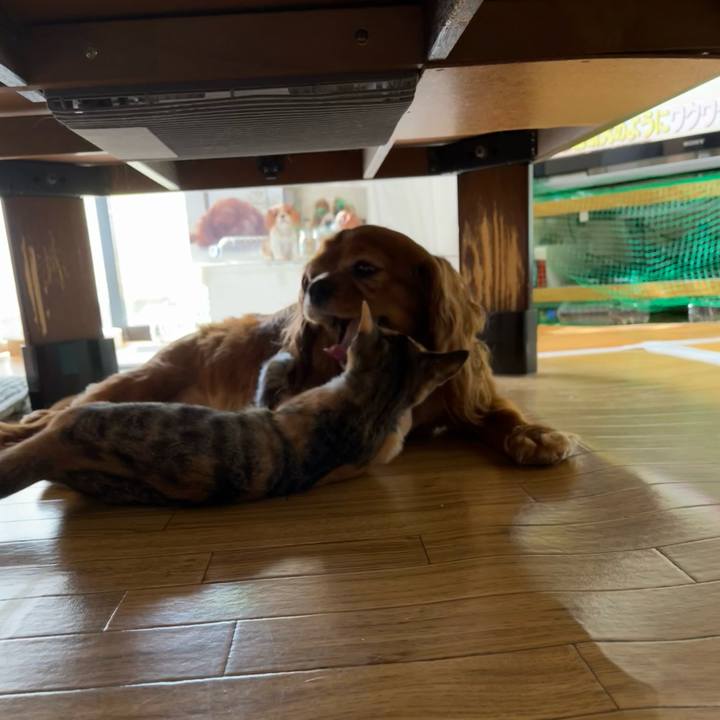 8419250d 634c 48b0 80db f1c13d80e4dd 1656368943186