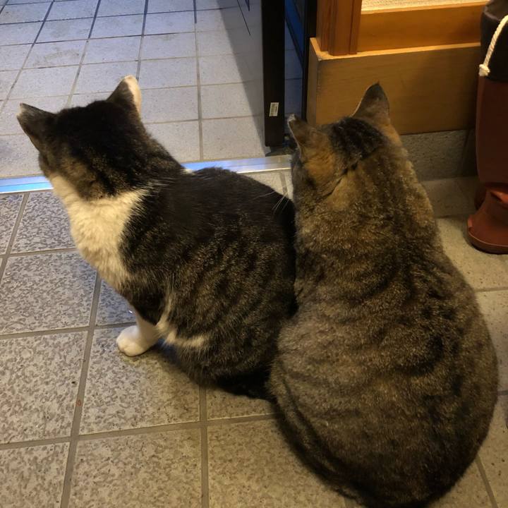 84193895 9560 44e2 97bf d4884714dc77 1525775215991