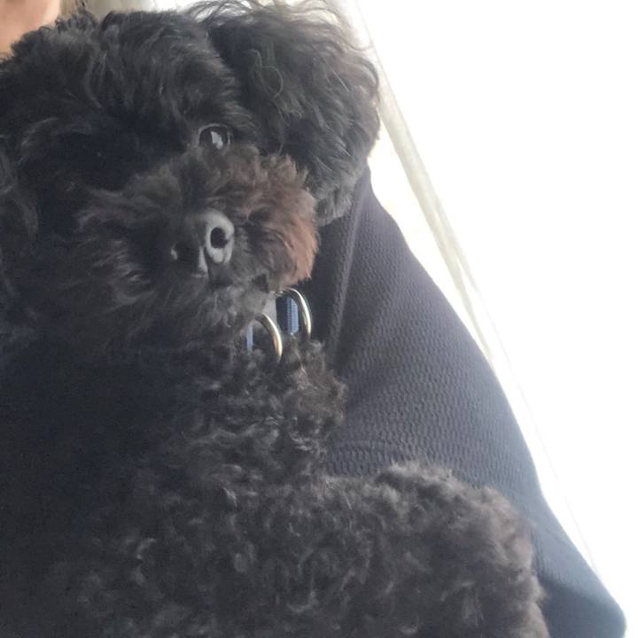 841961e7 69a7 4c2e bf5e 6e914f65475e 1593259914921